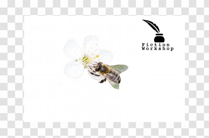 Honey Bee Font - Membrane Winged Insect Transparent PNG