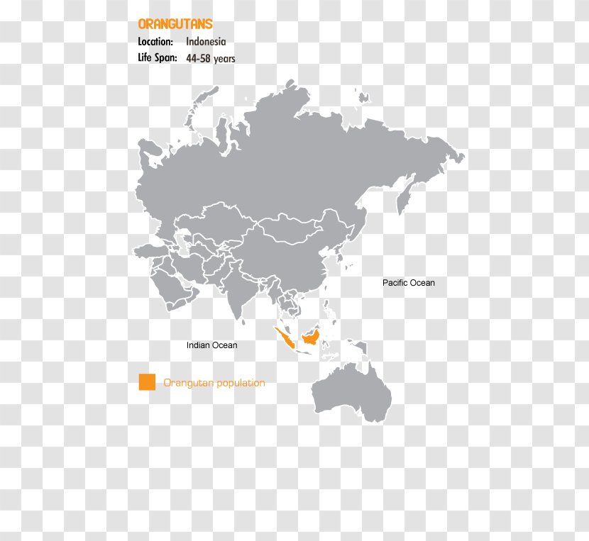 Country Code United States Netherlands Latin America - Ecoregion - Sumatran Orangutan Transparent PNG