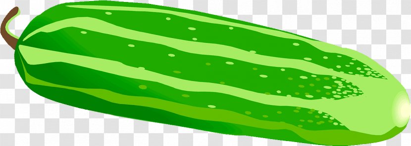 Pickled Cucumber Pickling Vegetable Melon - Mudkip key Transparent PNG