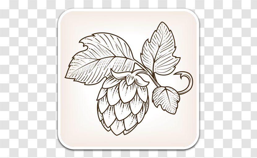 Beer Hops Drawing - Flowering Plant Transparent PNG