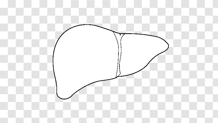 Finger Line Art Font - Cartoon - Human Liver Transparent PNG
