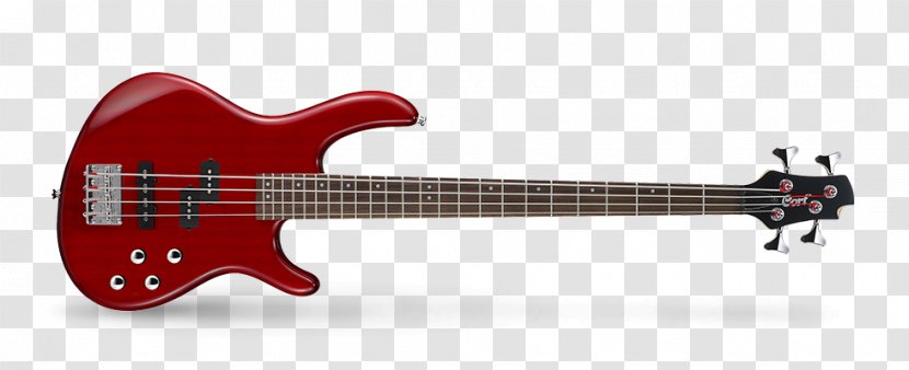 Bass Guitar Double Fender Jazz - Tree Transparent PNG