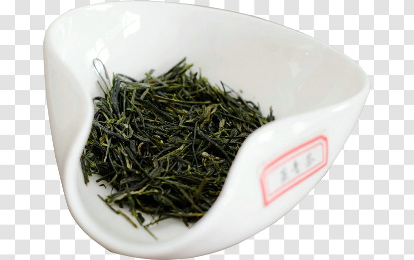 Gyokuro White Tea Nilgiri Oolong Transparent PNG