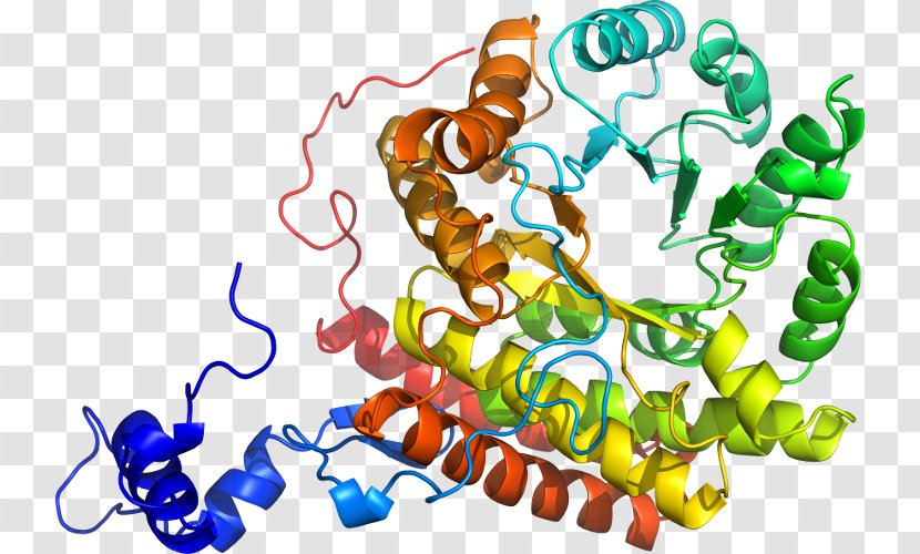 Organism Methylmalonyl-CoA Mutase Art - Methyl Group - Methylmalonylcoa Transparent PNG