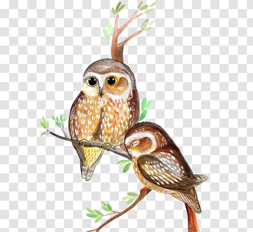 Owl Watercolor Painting - Bird Transparent PNG
