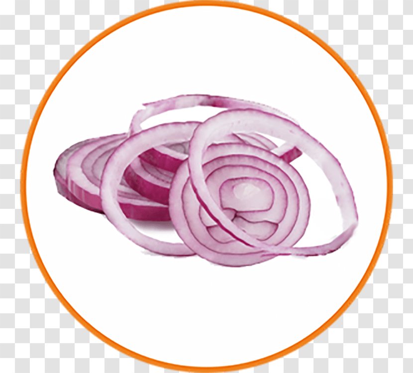 Red Onion Vegetable White - Bell Pepper Transparent PNG
