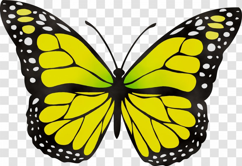 Butterfly Clip Art Insect Yellow Image - Brushfooted - Symmetry Transparent PNG