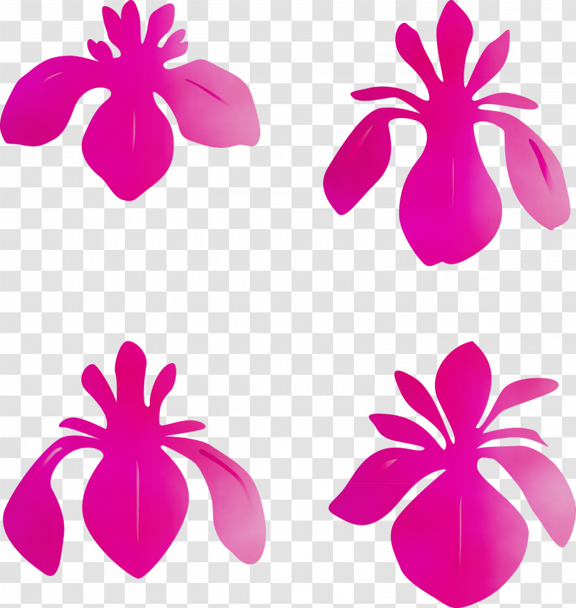 Pink Petal Magenta Purple Plant Transparent PNG