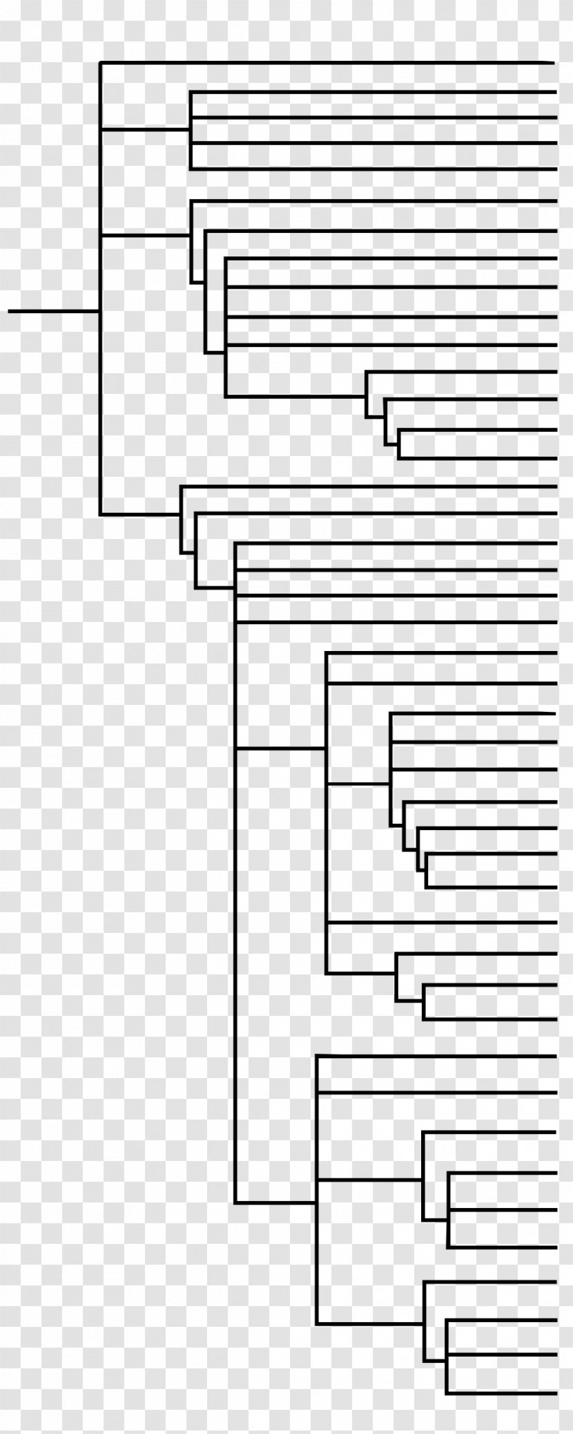 APG II System Angiosperm Phylogeny Group III Cladogram - Tree - Cartoon Transparent PNG