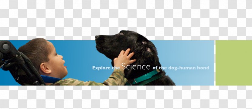 Human Behavior Education Service Conversation - Play - Dog And Transparent PNG