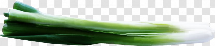 Cucumber Shoe Close-up - Pretty Green Onion Transparent PNG