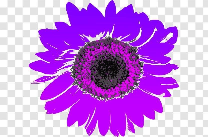 Common Sunflower Clip Art - Daisy Family - Purple Cliparts Transparent PNG