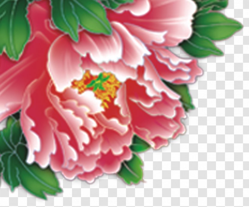 Japanese Camellia Floral Design Carnation Peony Petal Transparent PNG