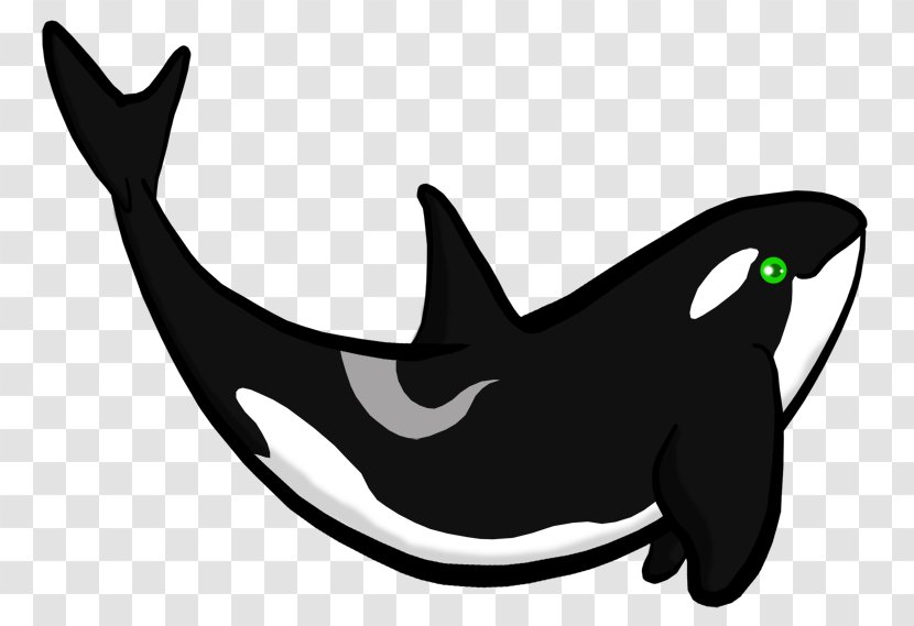 Dolphin Killer Whale Shark Wildlife - Fish Transparent PNG