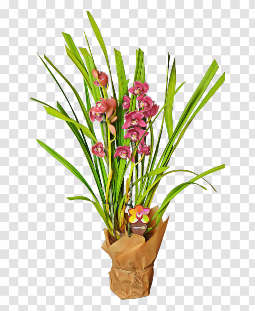 Floral Design Transparent PNG