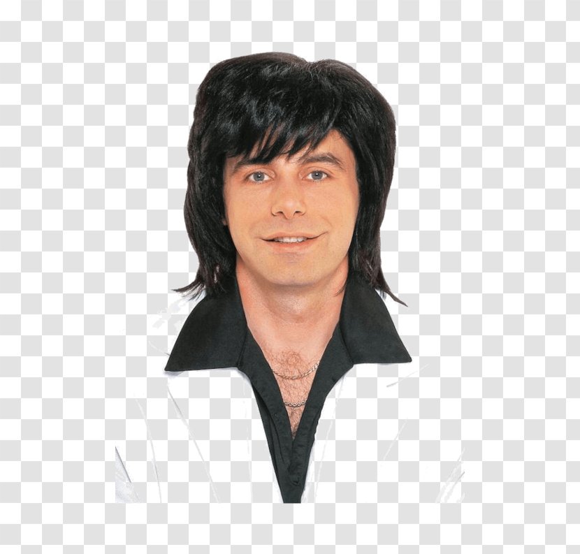 1970s 1980s Wig Male Costume - Professional - Hair Style Transparent PNG