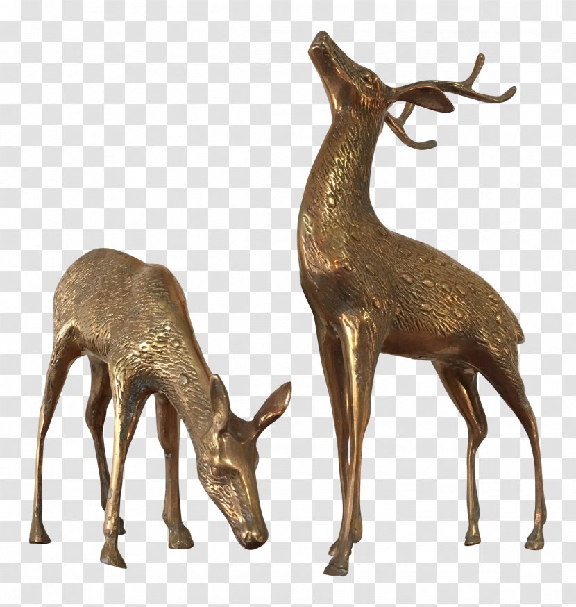 Elk White-tailed Deer Musk Deers Reindeer - Bronze Transparent PNG