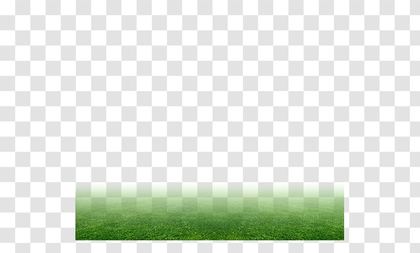 Lawn Icon - Designer - Green Grass Transparent PNG