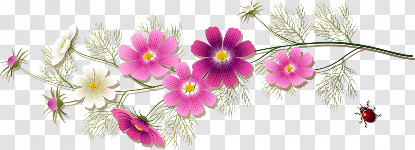 Floral Design Diary LiveInternet Flower Blog - Arranging Transparent PNG