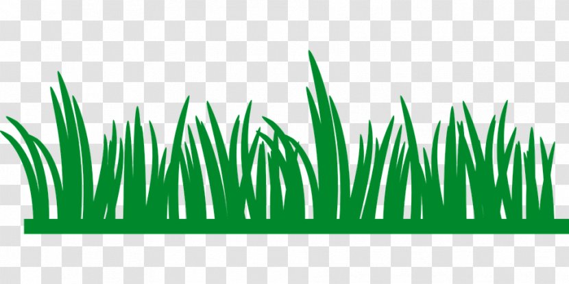Lawn Button Clip Art - Green Transparent PNG