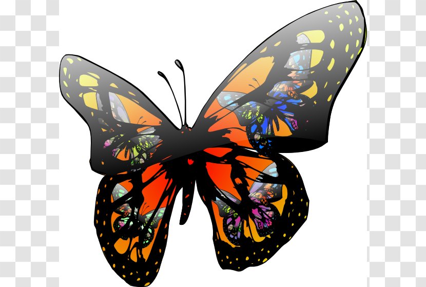 Butterfly Effect Clip Art - Wing - Buterfly Pictures Transparent PNG