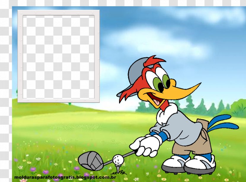 Woody Woodpecker Donald Duck Photography Picture Frames - Plant Transparent PNG