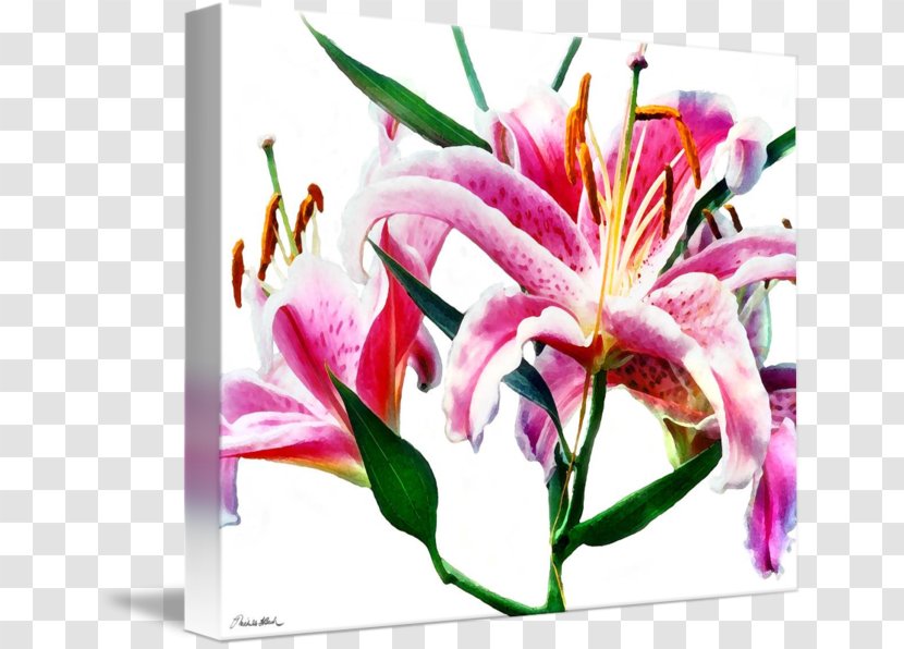 Floral Design Gallery Wrap Cut Flowers Lilium - Petal - Flower Transparent PNG