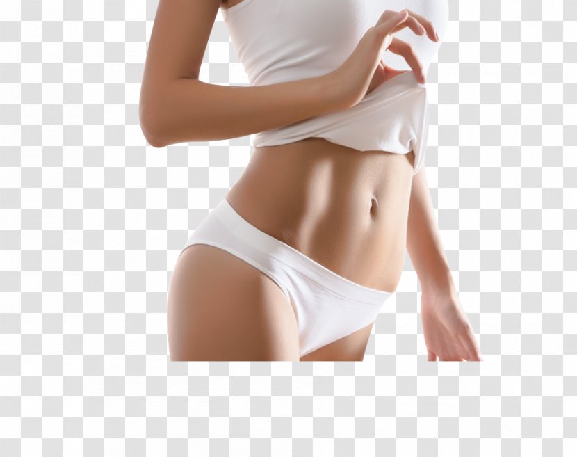 Human Body Exercise Cosmetics Cryolipolysis Contouring - Tree - Abdominal Surgery Transparent PNG