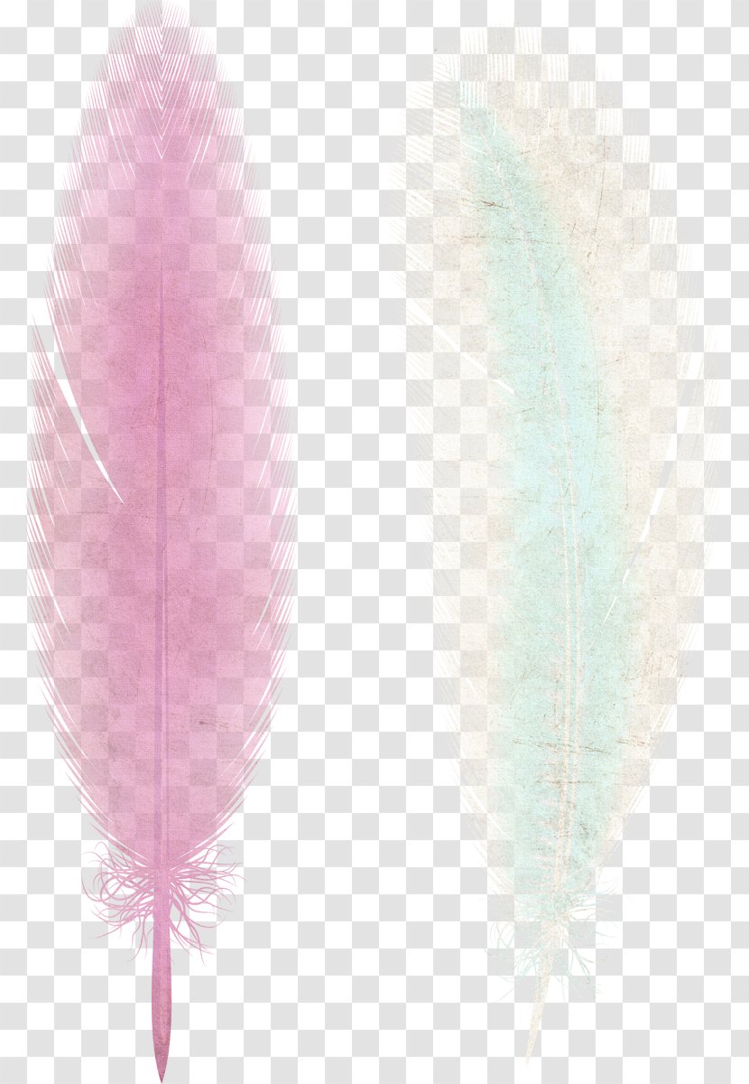 Eyebrow Feather Transparent PNG