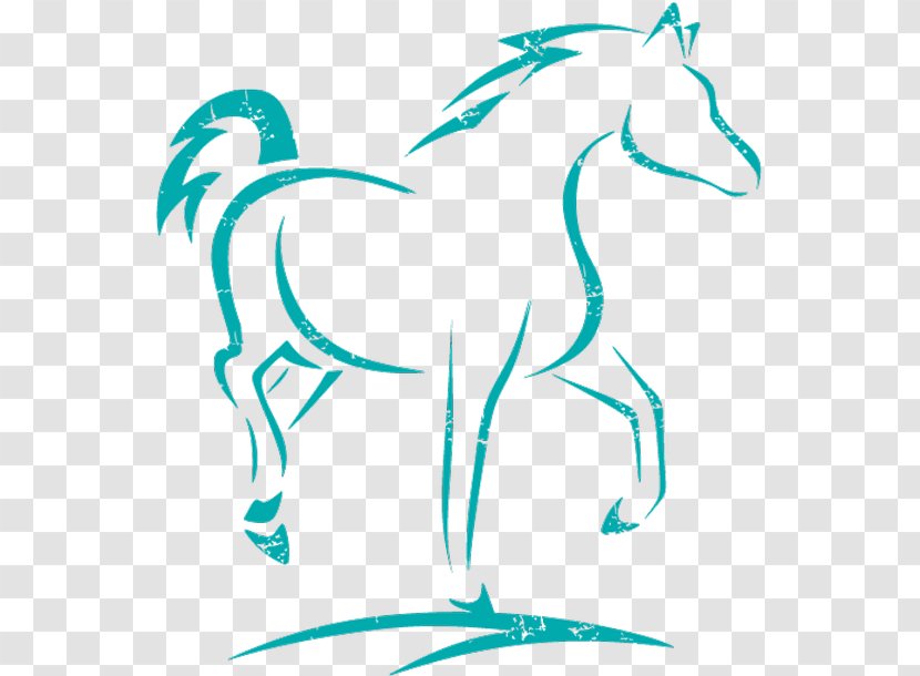 Pony Horse Dog Mare Farrier - Carnivoran Transparent PNG