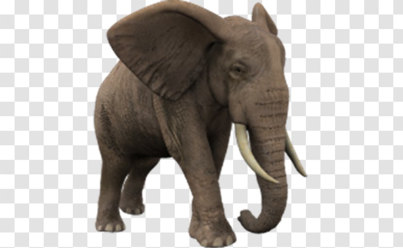 African Elephant Elephantidae Clip Art - Wildlife Transparent PNG
