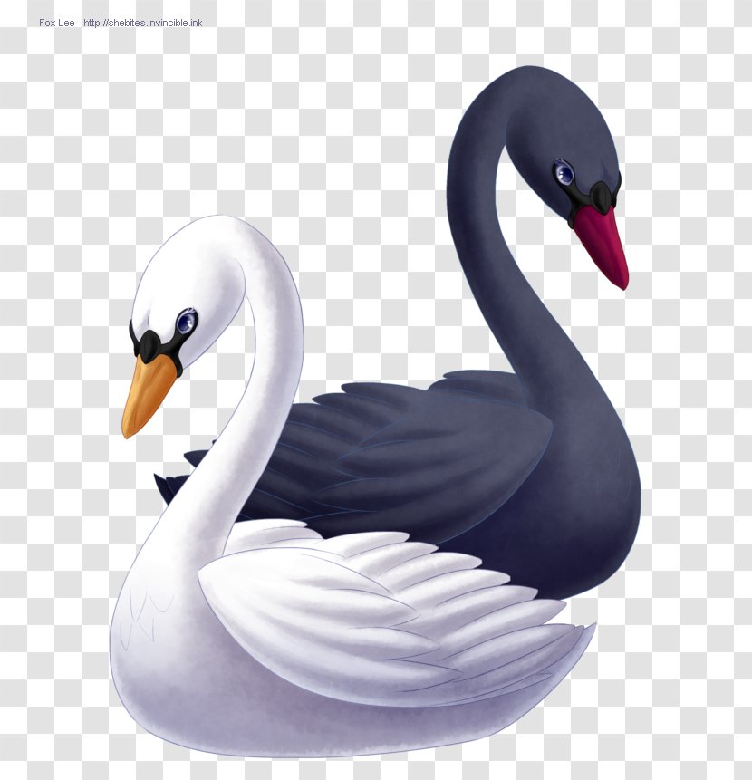 Princess Odette Goose Duck Black Swan Drawing Transparent PNG