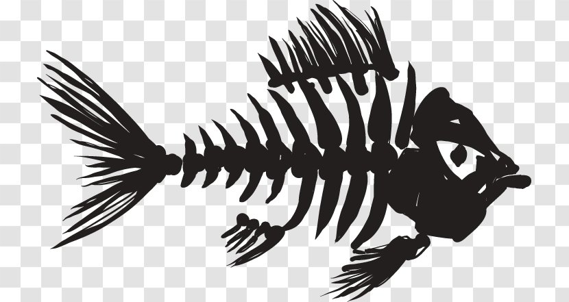 Skeleton Fish Bone Clip Art Transparent PNG