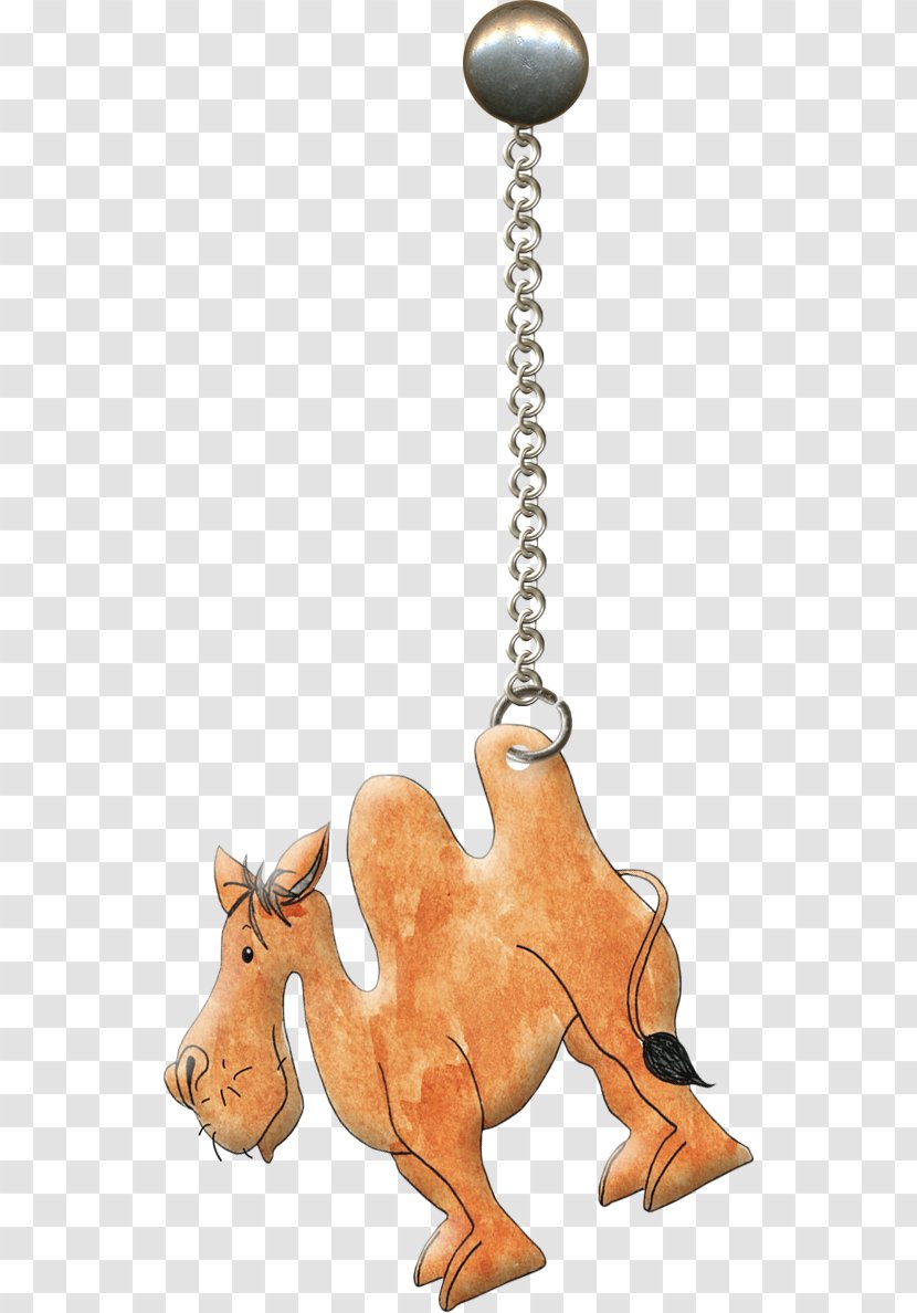 Camel Chain - Pendant Transparent PNG