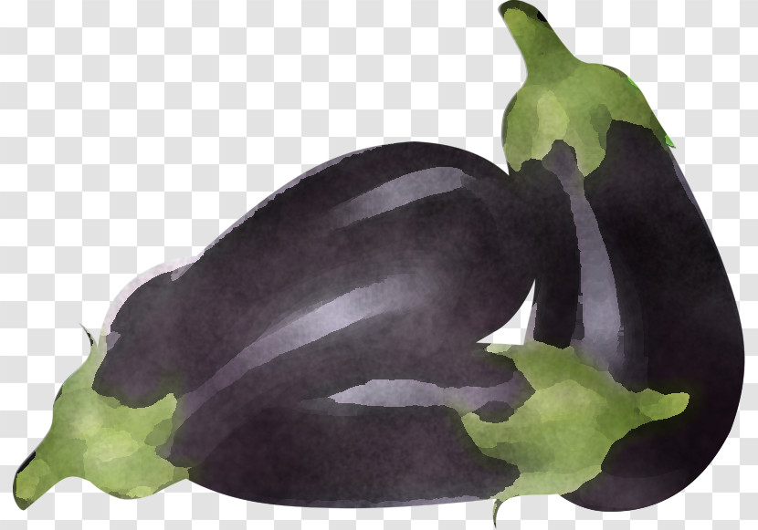 Eggplant Vegetable Plant Flower Transparent PNG