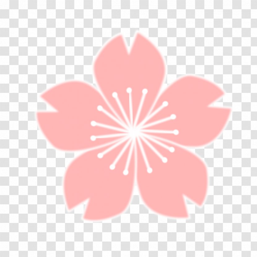 Cherry Blossom Drawing Clip Art - Logo - Sakura Flower Transparent PNG