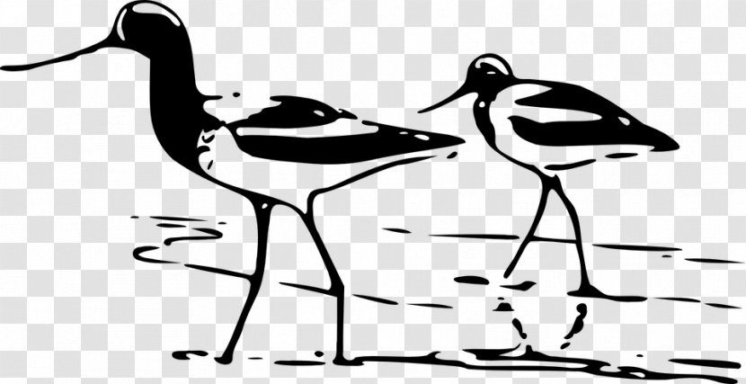 Bird Clip Art - Fauna Transparent PNG