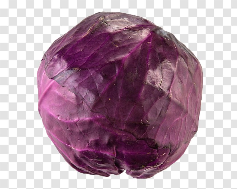 Red Cabbage Purple Vegetable - Cyan - Large Pieces Of Transparent PNG