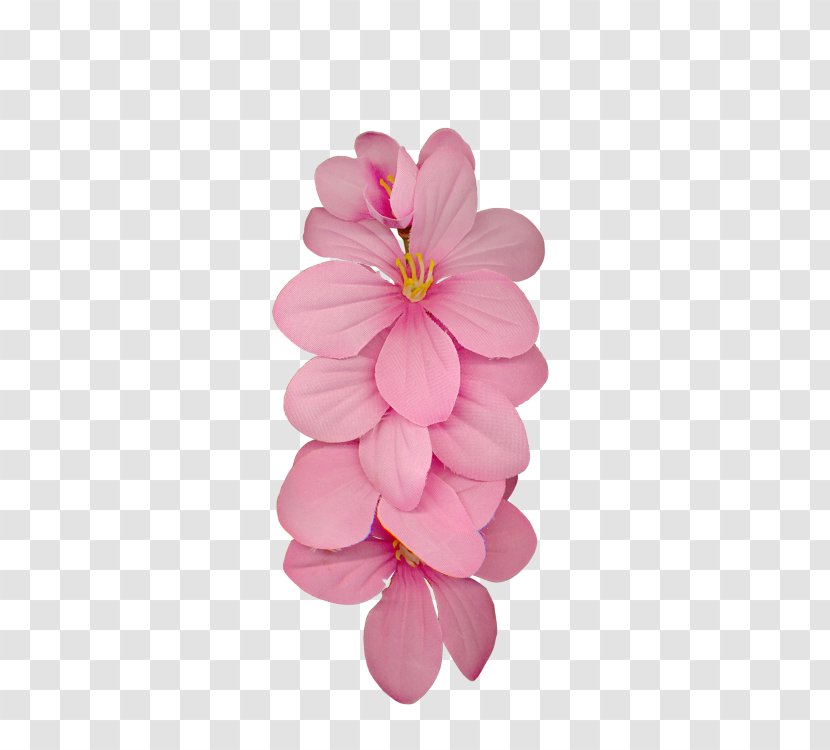 Dahlia Cut Flowers Petal Cherry Blossom Transparent PNG