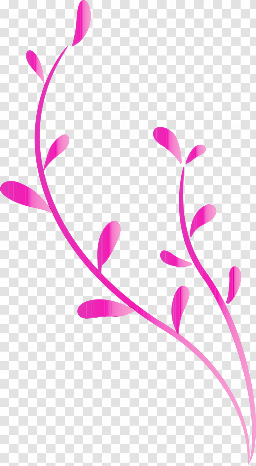 Pink Pedicel Magenta Flower Plant Transparent PNG
