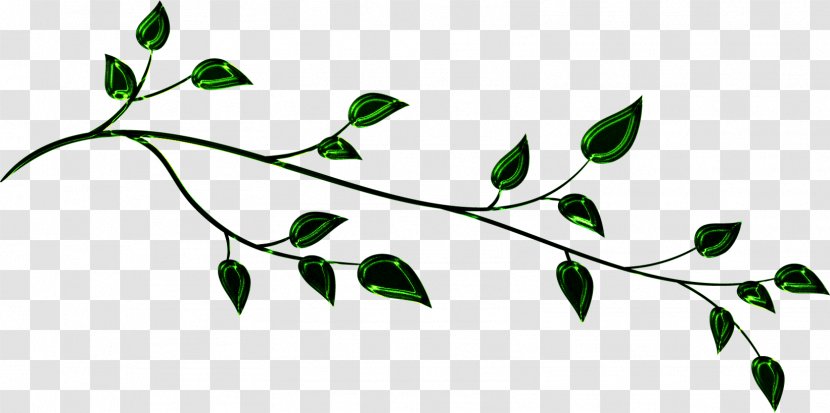 Twig Green Plant Stem Leaf Clip Art - White Transparent PNG