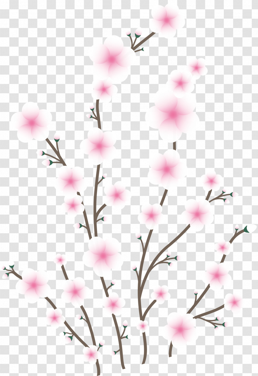 Flowers Floral Transparent PNG