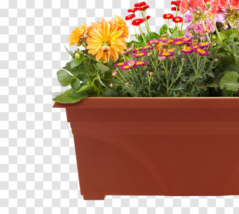 Amazon.com Flowerpot Container Garden - Rectangle - Patio Transparent PNG