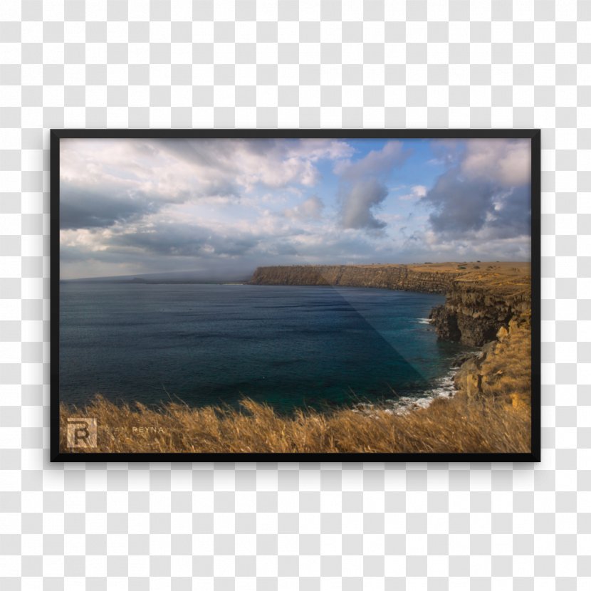 Picture Frames Stock Photography Rectangle - Landscape - Poster Transparent PNG