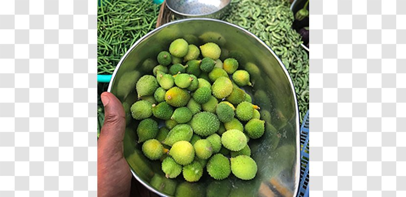 Vegetarian Cuisine Lemon Indian Vegetable Food - Kandola Punjab - Traditional Transparent PNG