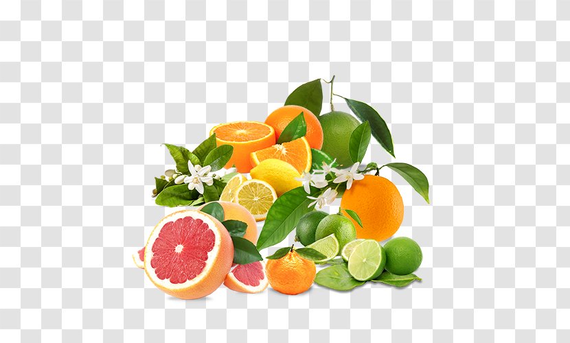 Clementine Mandarin Orange Food Tangerine Lemon - Vegetable Transparent PNG