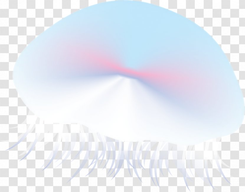 Eyelash Mouth Jaw Desktop Wallpaper - Eye - Sea Transparent PNG