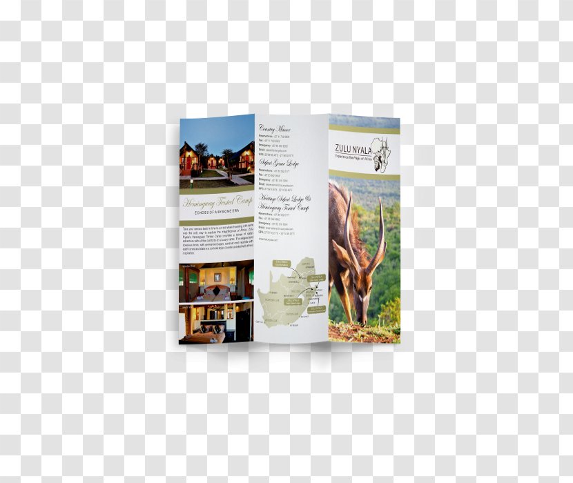 South Africa Advertising Business Marketing - Project - Modern Flyer Design Transparent PNG