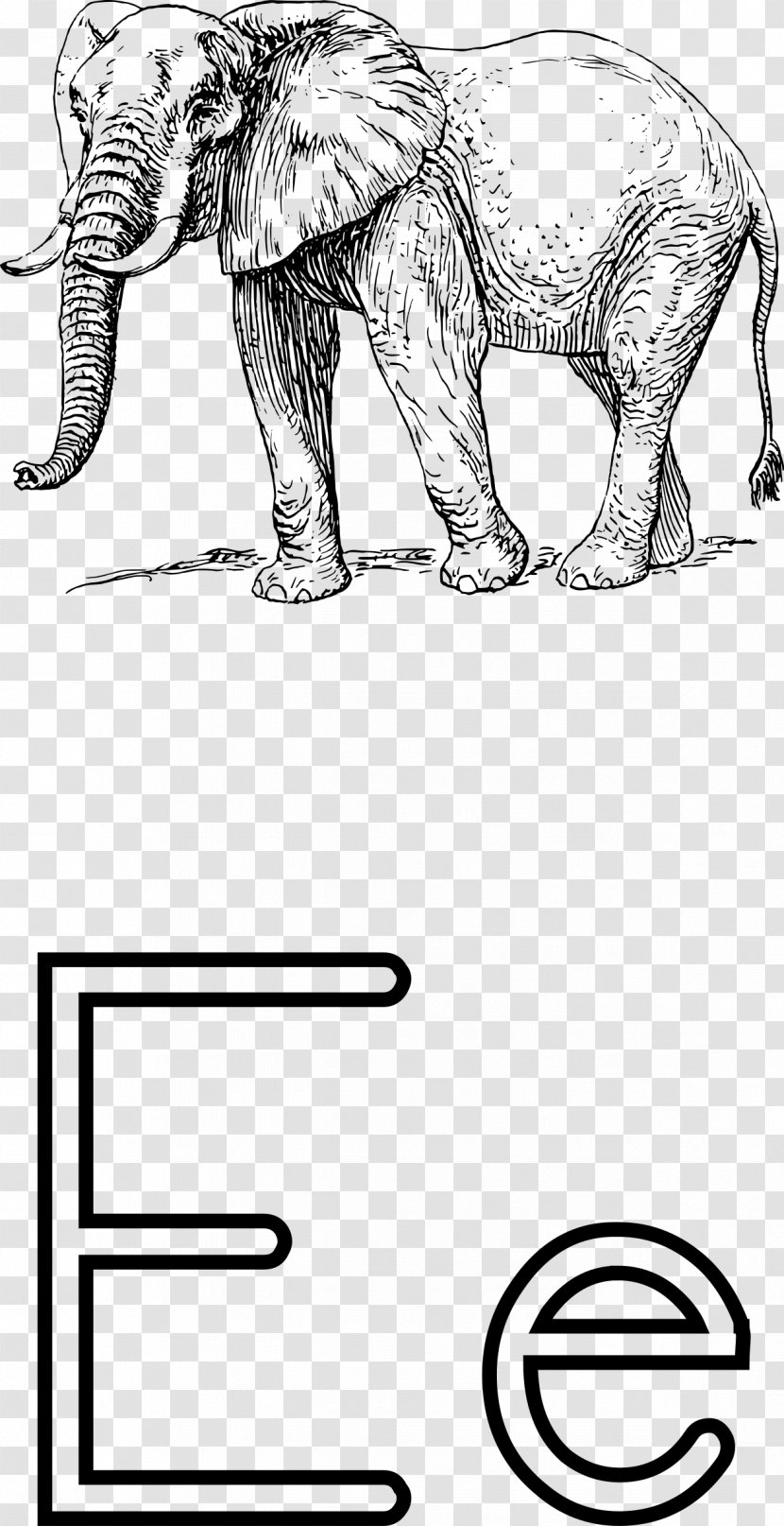 African Elephant Drawing Clip Art - Visual Arts Transparent PNG