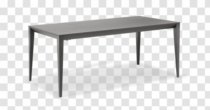 Table Natuzzi Chair Desk - Tree Transparent PNG